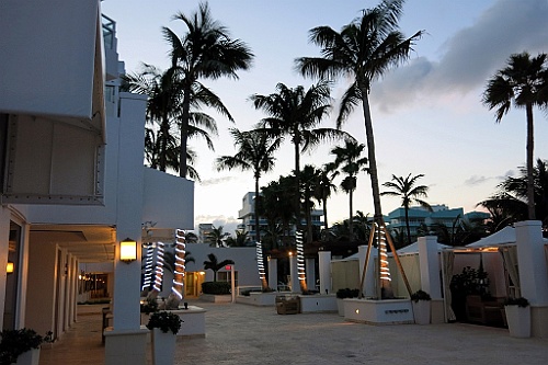cruise14 (129)